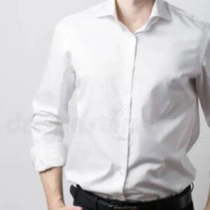 Varón de compañía